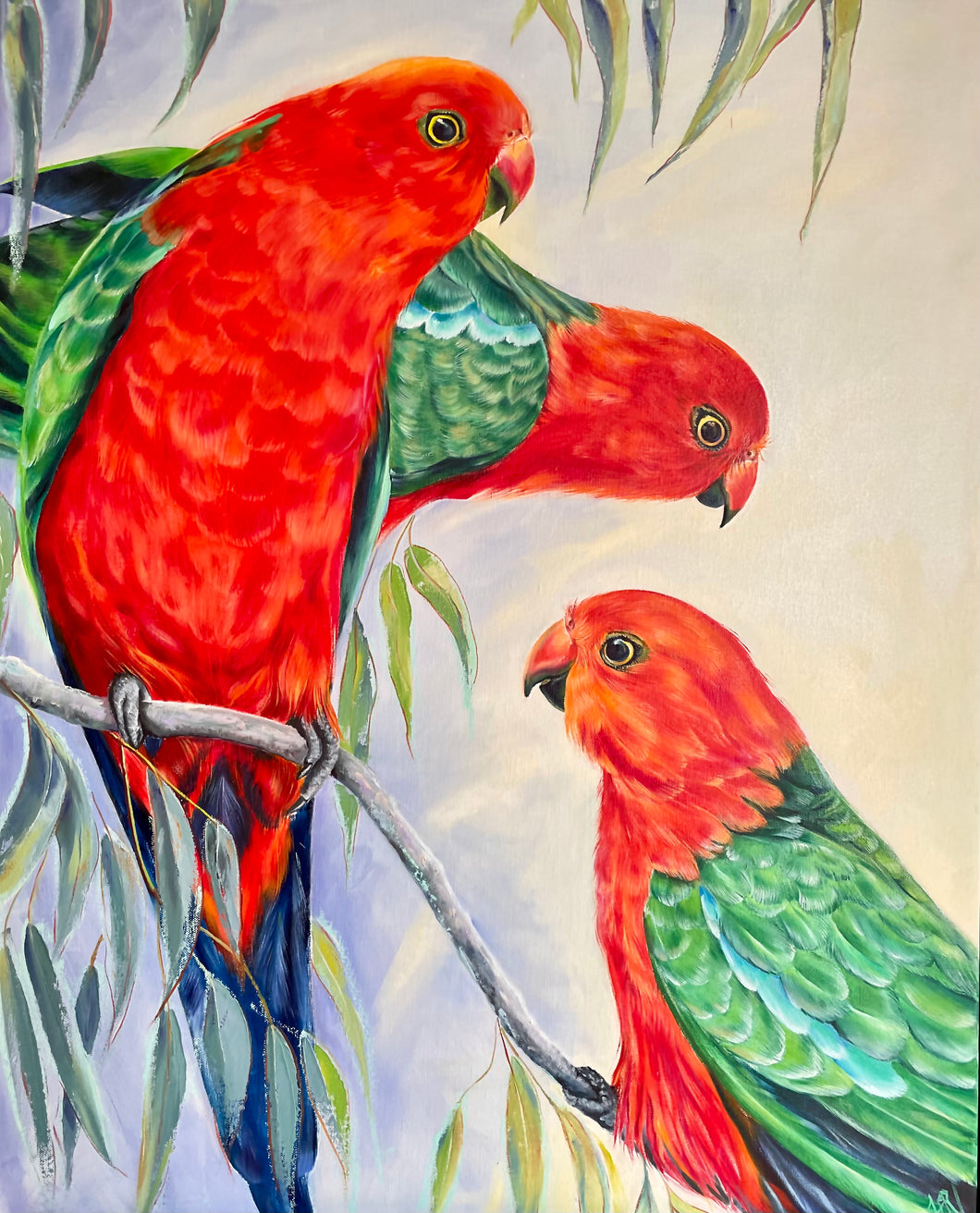 A Glory of King Parrots - Print