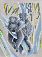 A Nap of Koalas - Print
