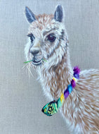 Butterfly Bow Tie Guy - Original Oil Painting