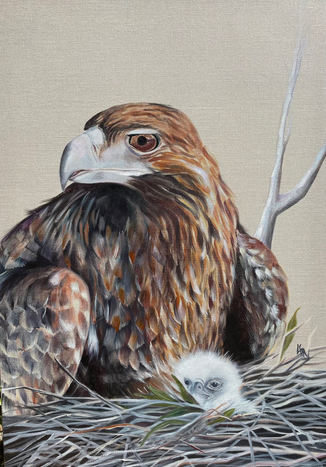 Eagle Eye - Original Oil Painting ## SOLD ##
