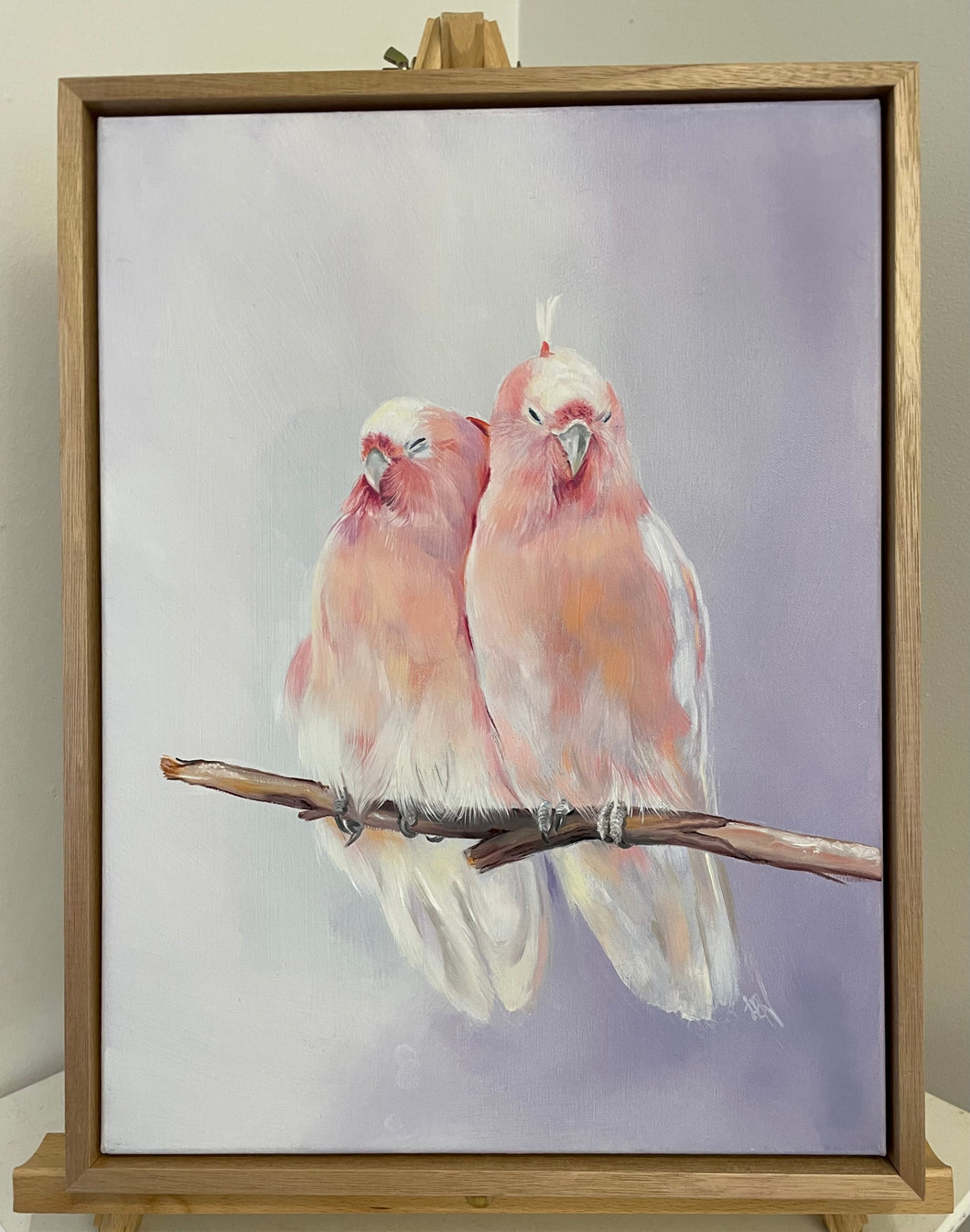 A Snuggle of Pink Cockatoos - Original Oil Painting ### SOLD ###