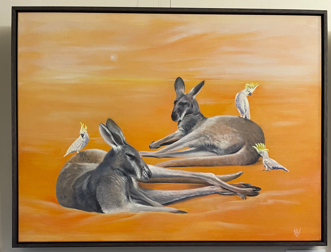 A Snooze of Roos - Original Oil Painting