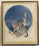 A Rarity of Bilbies - Original Oil Painting