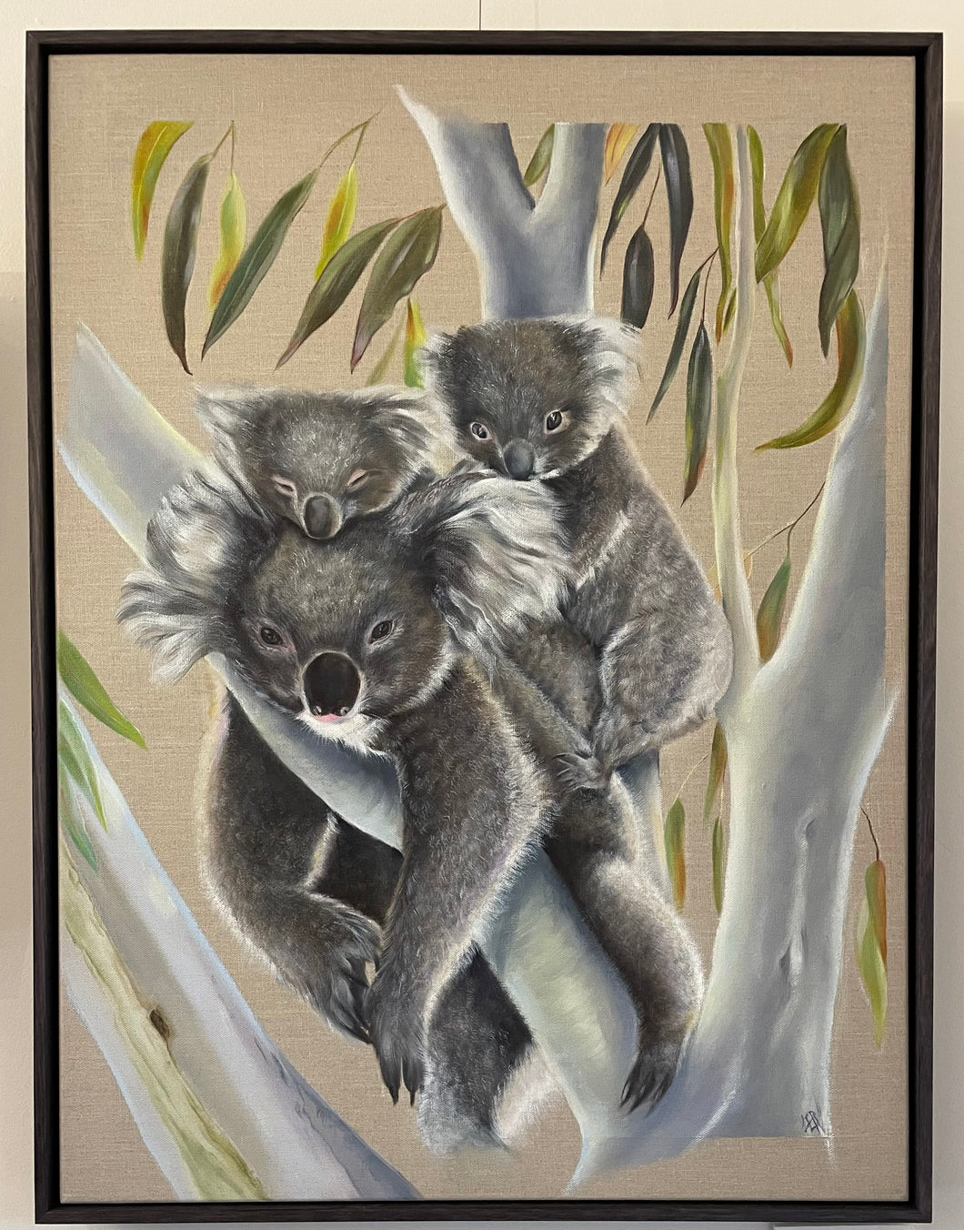 A Nap of Koalas - Original Oil Painting