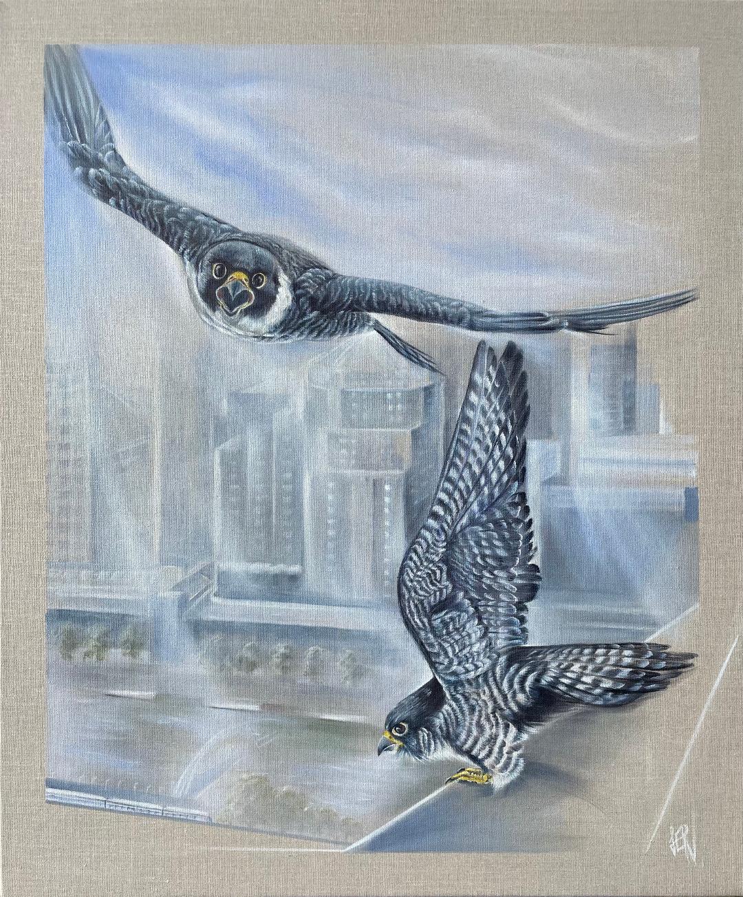 Melbourne Peregrine Falcon Live Cam A Tower Of Peregrines Original