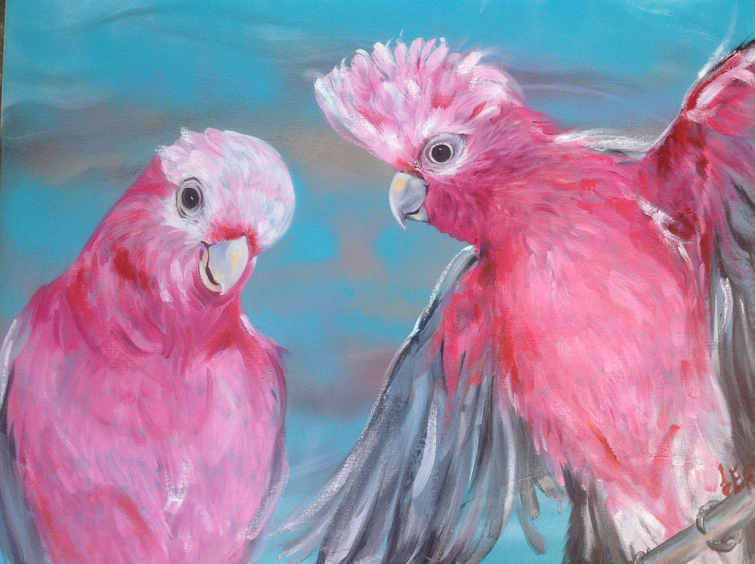 Just A Couple of Galahs - Print