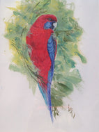 Crimson Rosella - Original Oil Painting