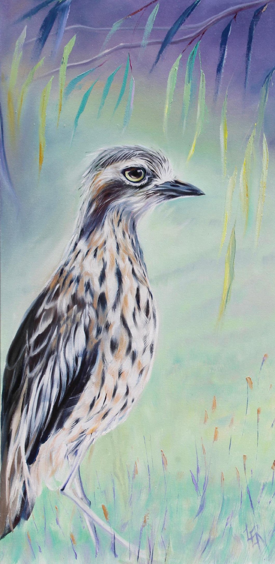 Curlee Has Big Eyes - Print