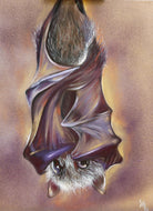 Sky Puppy - Original Oil Painting - SOLD