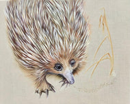 On The Trail - Print