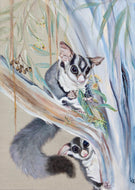 In The Canopy - Print