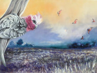 Galah Event - Print
